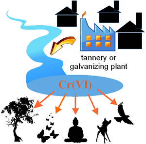Problem of environmental pollution Cr(VI).gif