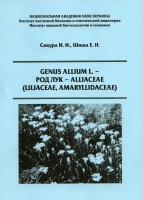 Сикура ИИ, Шиша ЕН (2010) Genus Allium L. – Род Лук – Alliaceae (Liliaceae, Amaryllidaceae).jpg
