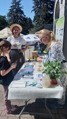 2026-05-16 Festyval 4.jpg