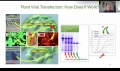 Thumbnail for version as of 11:59, 8 July 2024