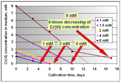 Decreasing of Cr(VI) concentration in medium.png