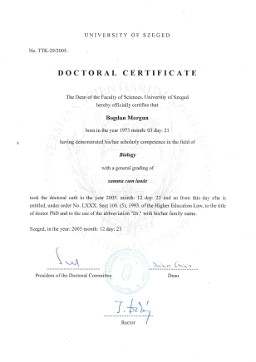 File:Doctoral Certificate Morgun.jpg