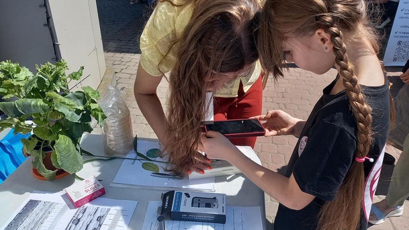 File:2026-05-16 Festyval 5.jpg