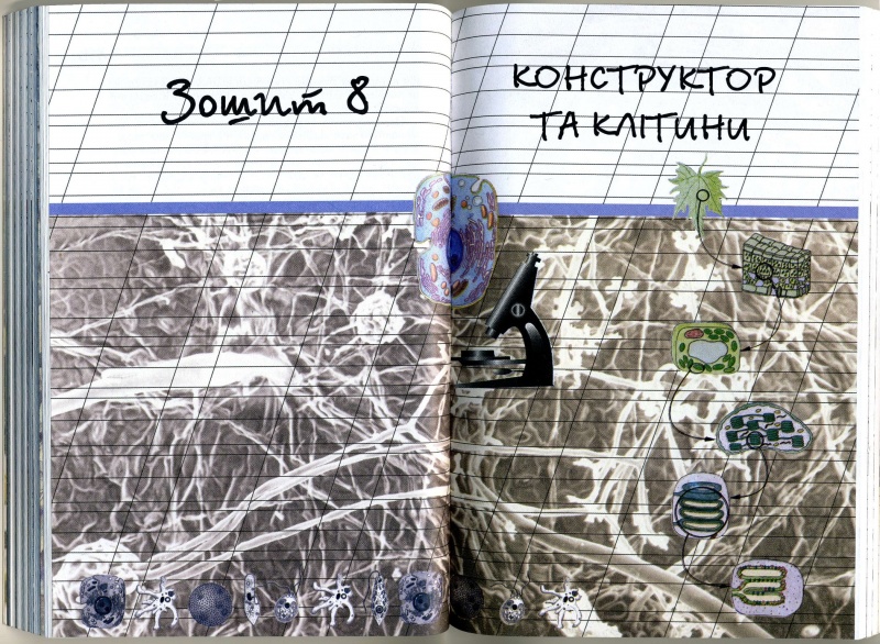 File:Ситник К Галузинська В Ботанічні зошити або дванадцять подорожей у світ рослин Зошит 8 Конструтор Клітин.jpg