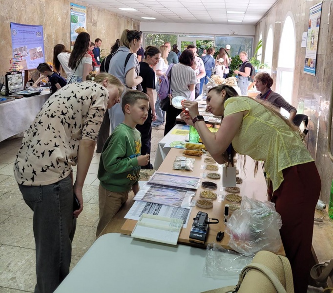 File:2026-05-16 Festyval 11.jpg